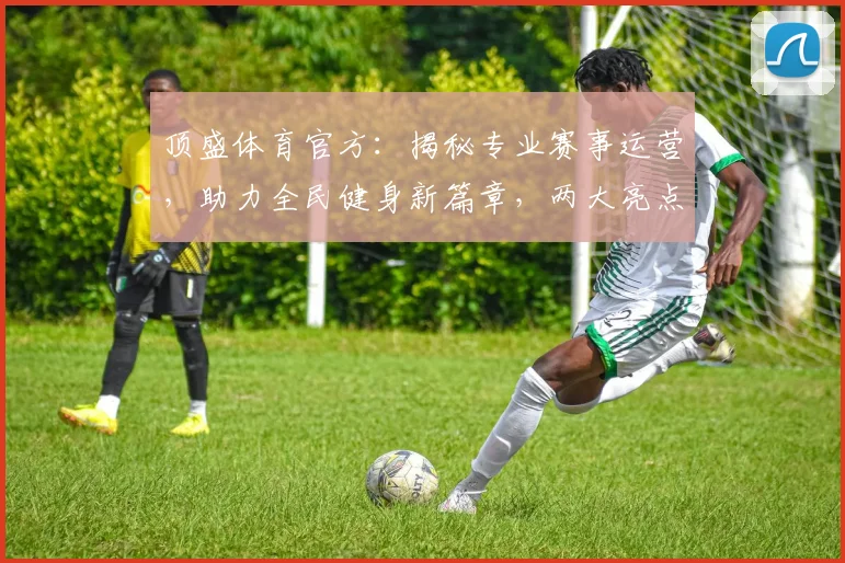 顶盛体育官方：揭秘专业赛事运营，助力全民健身新篇章，两大亮点不容错过