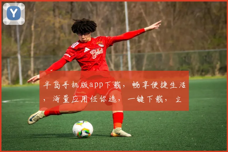 半岛手机版app下载，畅享便捷生活，海量应用任你选，一键下载，立即体验